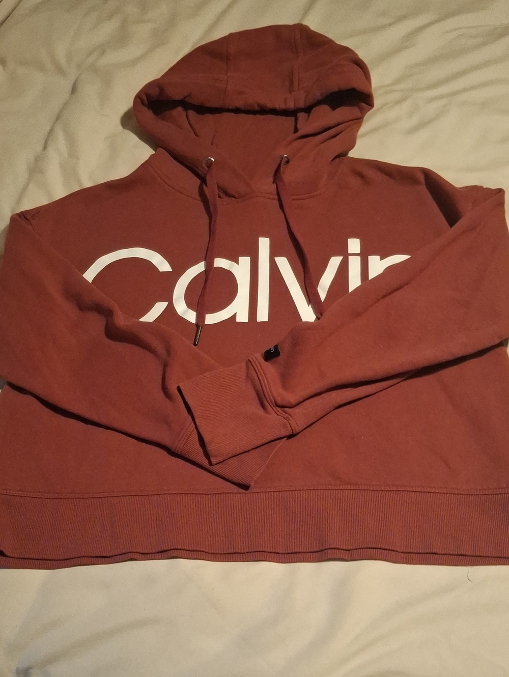 Calvin Klein Cropped Logo Hoodie